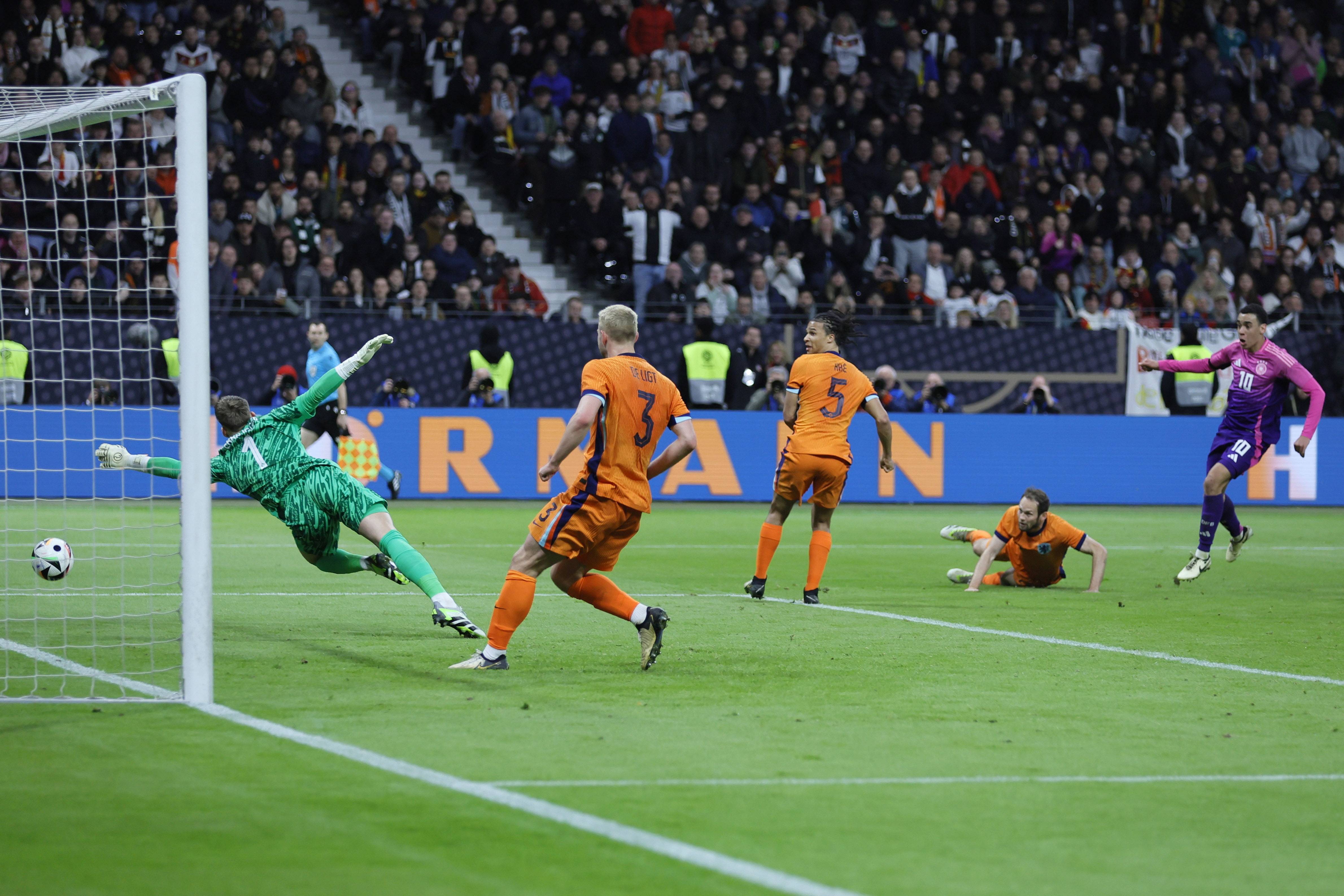 供了一个清 供了一个清